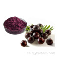 Mejor precio ACAI Berry Extract Maqui Berry Powder
